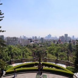 My Favorite Experiences in CDMX￼