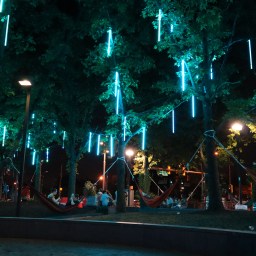 Philly Favorites: Exciting Spots in a Historical City